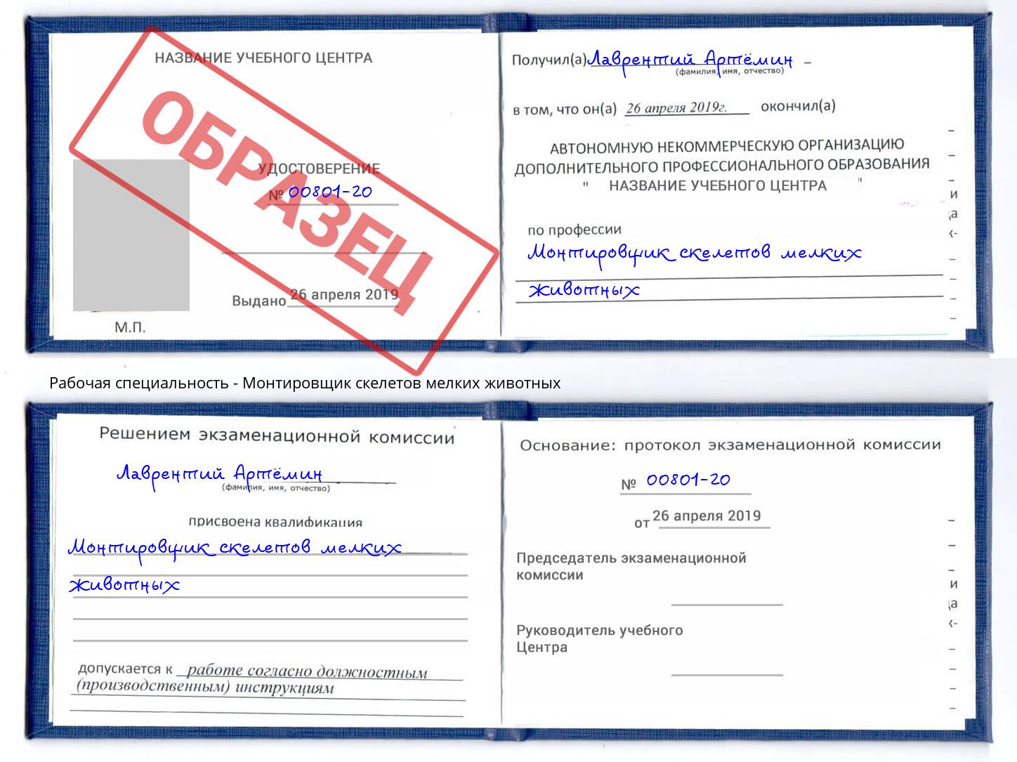 Монтировщик скелетов мелких животных Южноуральск