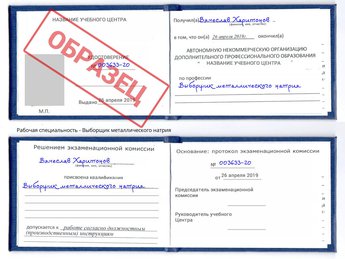 Обучение Выборщик металлического натрия