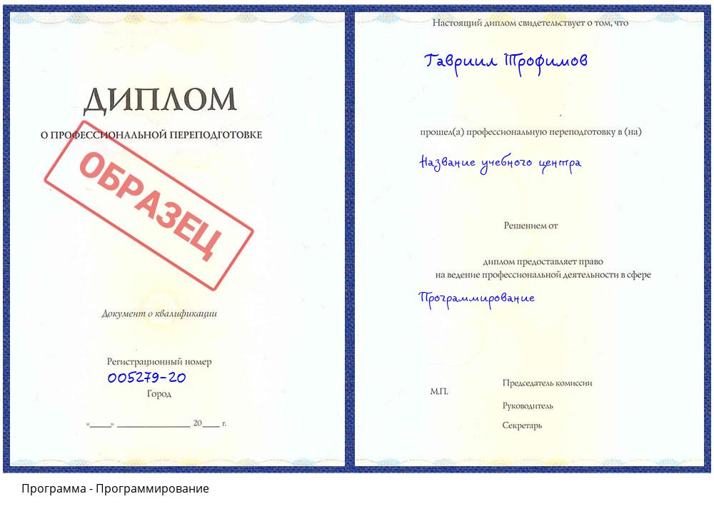 Программирование Южноуральск