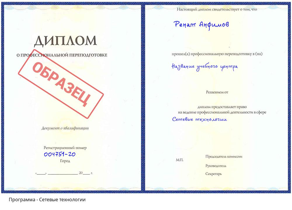 Сетевые технологии Южноуральск