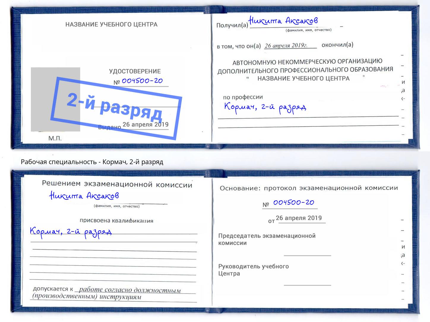 корочка 2-й разряд Кормач Южноуральск