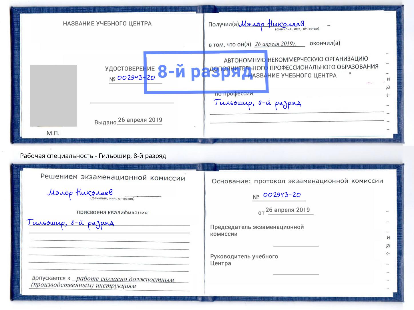 корочка 8-й разряд Гильошир Южноуральск